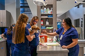 Vet careers at Herbst Veterinary Hospital in Boerne, TX