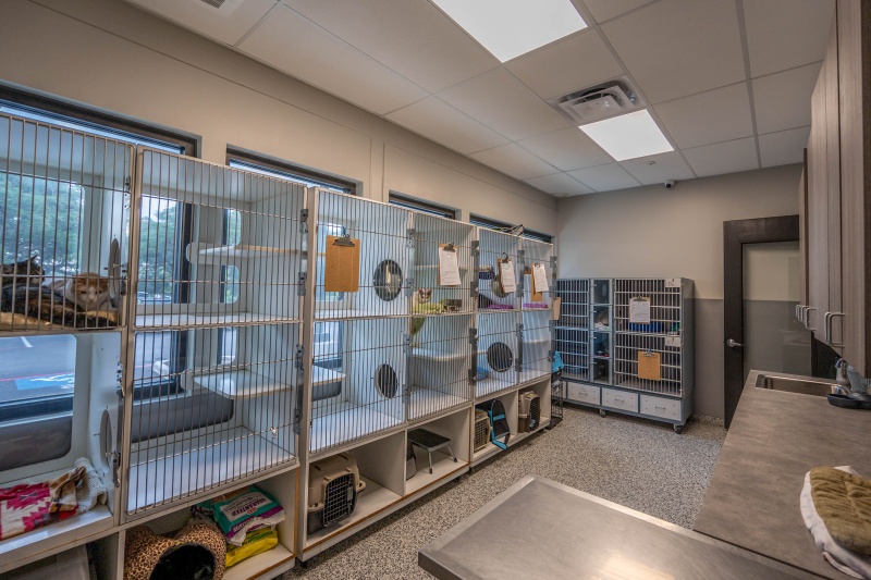 Dog & Cat Boarding at Herbst Veterinary Hospital in Boerne, TX